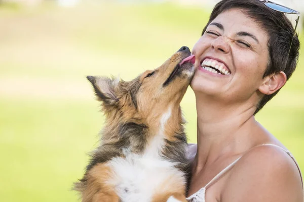 Jonge Brunette Dame Met Sproeten Knuffelen Puppy Shetland Hondje — Stockfoto