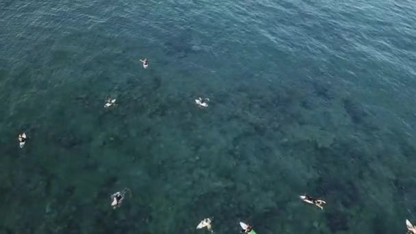 Vista Dos Surfistas Flutuando Nas Ondas Mar Durante Dia — Vídeo de Stock