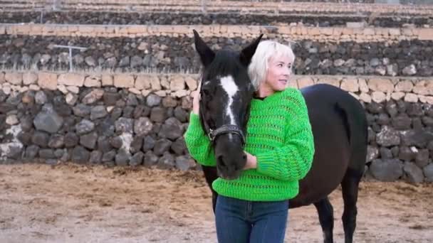 Amore Scena Romantica Con Bella Donna Bionda Cavallo Nero Attività — Video Stock