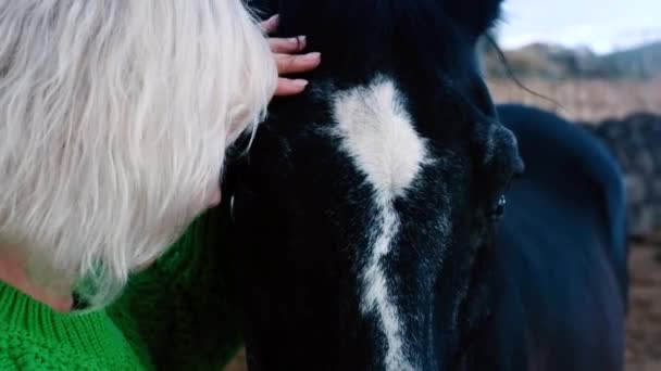 Miłość Romantyczna Scena Piękną Blondynką Czarnym Koniem Rekreacji Świeżym Powietrzu — Wideo stockowe