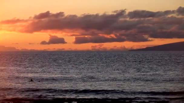 Προβολή Των Surfer Που Επιπλέει Στην Θάλασσα Κύματα Φόντο Ηλιοβασίλεμα — Αρχείο Βίντεο