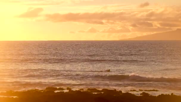 Blick Auf Surfer Der Auf Meereswellen Vor Sonnenuntergang Schwimmt — Stockvideo