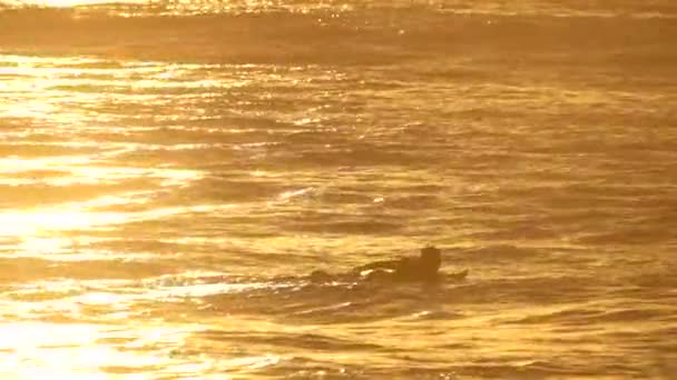 Vista Surfista Flutuando Sobre Ondas Mar Pôr Sol Fundo — Vídeo de Stock