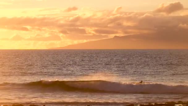 Blick Auf Surfer Der Auf Meereswellen Vor Sonnenuntergang Schwimmt — Stockvideo