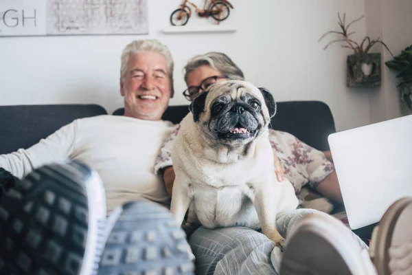 Casal Sênior Caucasiano Sentado Sofá Com Cachorro Engraçado — Fotografia de Stock