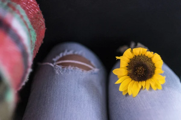 Zbliżenie Żółtego Słonecznika Kobiecych Nogach Luźnych Dżinsach Koncepcja Wolności Poszanowania — Zdjęcie stockowe