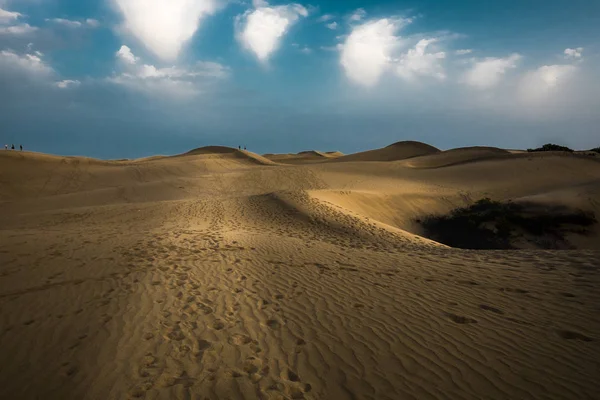 Жовта Пустеля Блакитним Небом Білими Хмарами Фоні — стокове фото