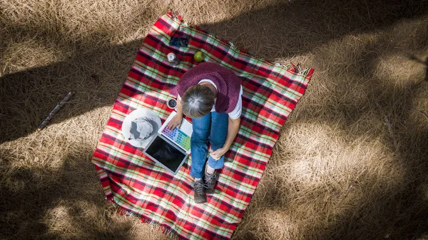 Jedna Žena Shora Shlížející Výšky Pomocí Technologie Notebook Sedí Lese — Stock fotografie