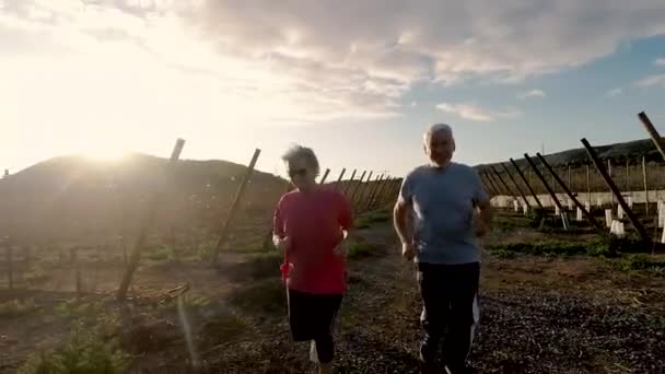 Paar Erwachsener Senioren Läuft Morgens Gemeinsam — Stockvideo