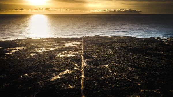 线路径路的鸟观看到海洋以金黄美丽的日落在背景 — 图库照片