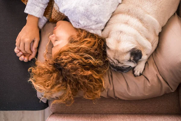 Жінка Спить Біля Своєї Милої Щенячої Собаки Мопс — стокове фото