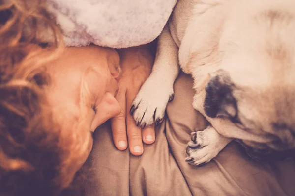 Mujer Durmiendo Cerca Precioso Cachorro Perro Pug —  Fotos de Stock