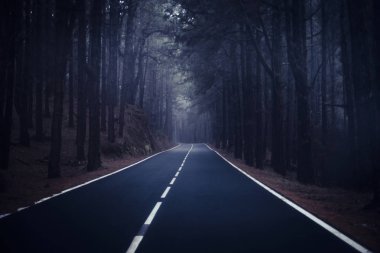 Uzun yol yol çam ormanı akşam dağlarda