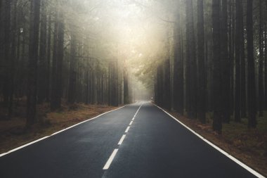Uzun yol yola Dağları güneşe son ve çam ormanı ile 