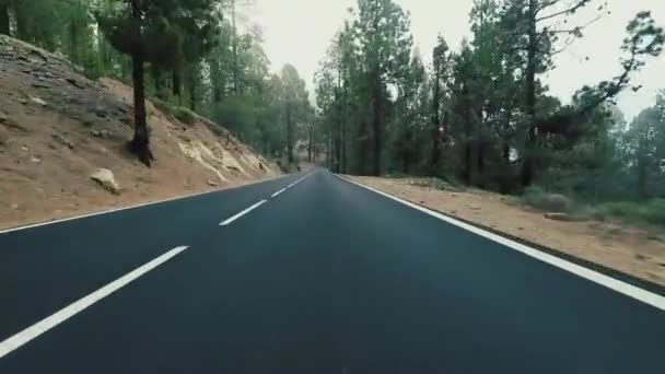 高速道路や秋の山道を走ると — ストック動画