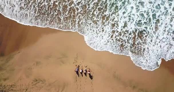 Вид Воздуха Группу Молодых Людей Друзей Наслаждающихся Летним Отдыхом Пляже — стоковое видео