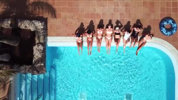 암컷들은 호텔이나 리조트에서 수영장을 즐기며 여성들이 우정을 나누며 공원에 — 비디오