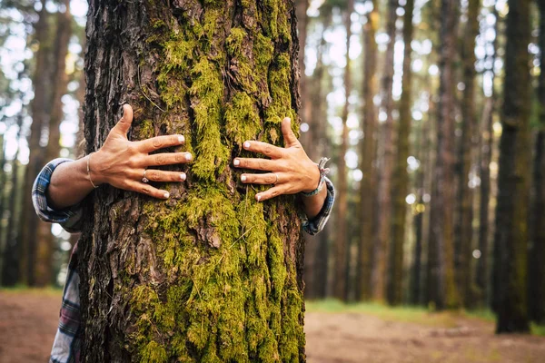 Γυναίκα Αγκαλιάζει Πράσινο Δέντρο Οικολογία Και Έννοια Του Περιβάλλοντος — Φωτογραφία Αρχείου
