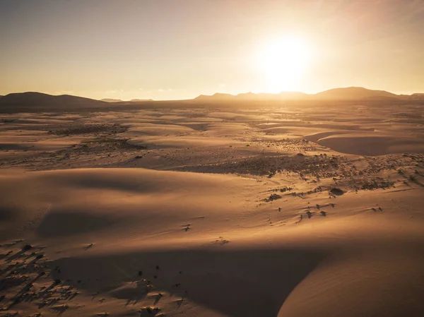 ทะเลทรายท สวยงามและท งหญ มมองจากด านบนด วยดวงอาท และเงาบนทราย — ภาพถ่ายสต็อก