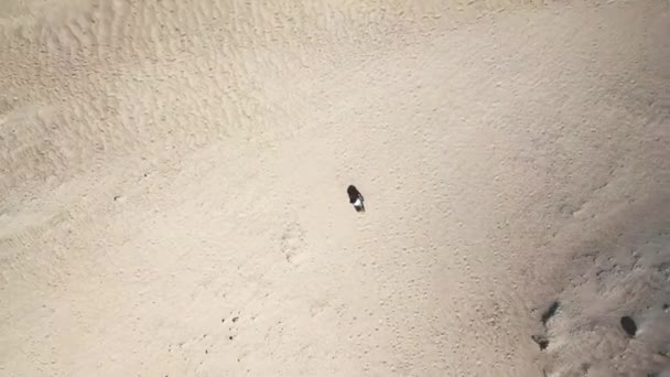砂漠公園の砂丘で休んでいる女性は — ストック動画