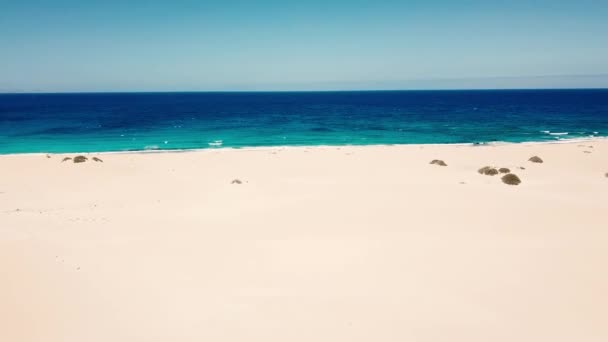 Flygbild Över Blå Havsvågor Och Gul Sandstrand — Stockvideo