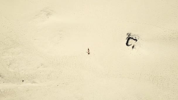 Mujer Descansando Mientras Divierten Las Dunas Del Parque Del Desierto — Vídeos de Stock