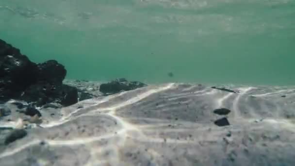 Vue Sous Marine Sur Mer Avec Eau Transparente Sol Sablonneux — Video