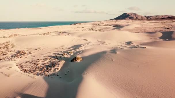 Вид Воздуха Песчаные Дюны Фоне Моря — стоковое видео