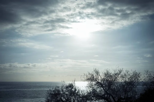 Cichy Krajobraz Niebieskich Odcieniach Sylwetką Drzew Oceanu Horyzontem — Zdjęcie stockowe