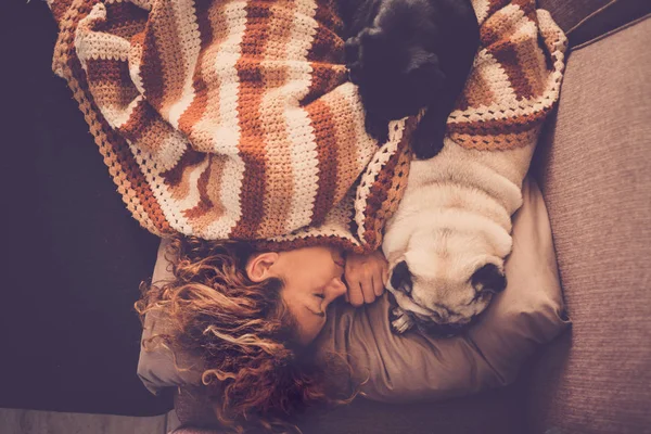 Mujer Dormir Casa Sofá Con Sus Dos Pugs Mejor Amiga —  Fotos de Stock