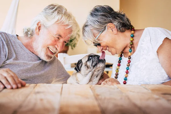 Bir çift neşeli adam ve kadın yaşlı sevimli bir köpekle oturuyor.