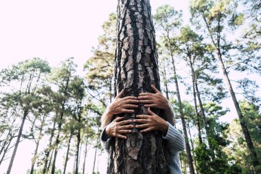 Gezegeni ve ormanları kurtarma kavramı 