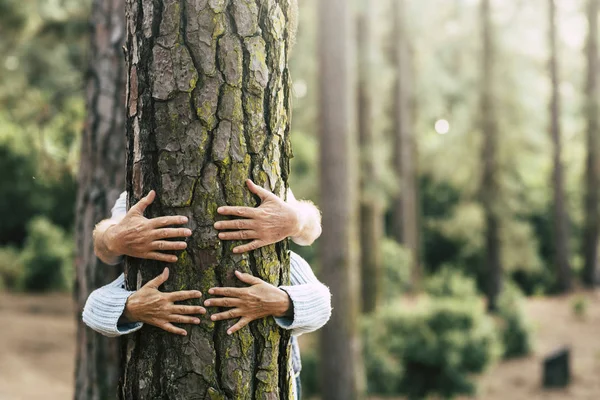 Couple Adultes Embrassant Arbre Dans Bois Avec Amour Respect Nature — Photo
