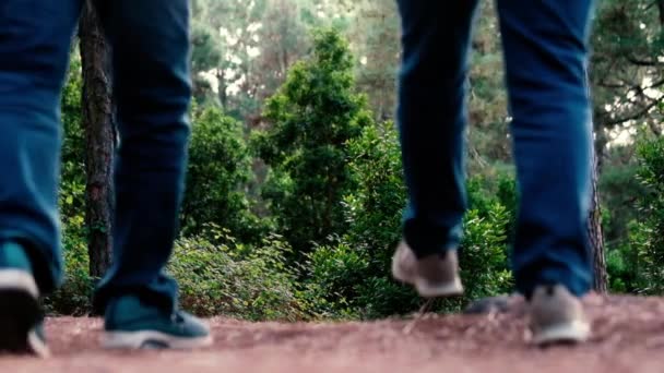 Cámara Lenta Pareja Caminando Bosque Durante Día — Vídeos de Stock