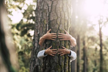 Bir çift yetişkin insan ormanda bir ağaca sevgi ve saygıyla sarılıyorlar. 