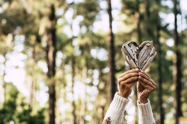 Mains Féminines Tenant Coeur Bois Sur Fond Forêt — Photo