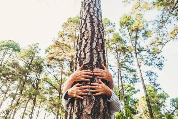 Les Gens Amour Pour Environnement Nature Concept Avec Les Mains — Photo
