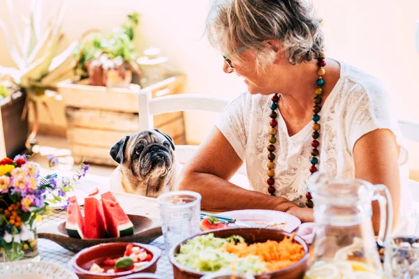 Přátelé Koncept Lidmi Zvířaty Jako Pet Terapie Půvabný Pug Starý — Stock fotografie