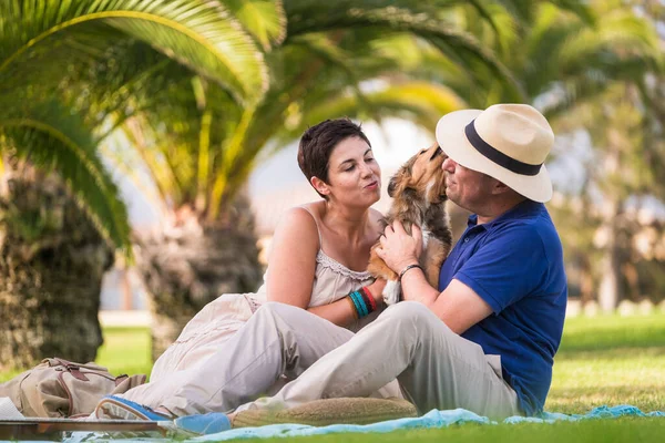 Pareja Adulta Jugando Parque Con Perro Perrito Encantador Divertirse Juntos — Foto de Stock