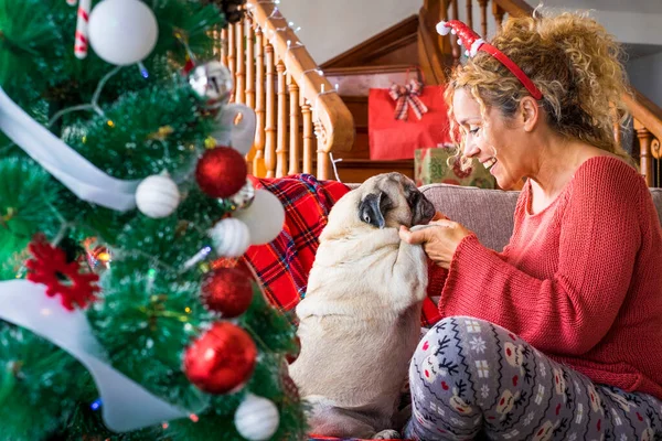 Funny holiday christmas time with adult woman and funny dog pug together having fun on the sofa near the christmas tree