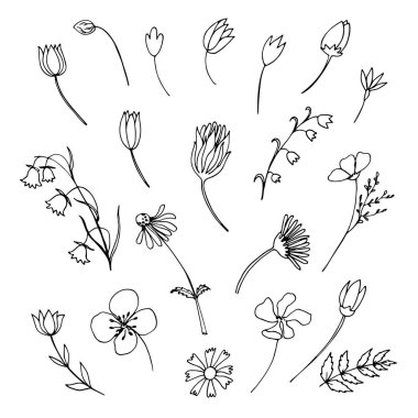 el çizilmiş çiçekler seti, vektör sanat