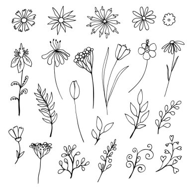 Elle çizilmiş çiçek kümesi