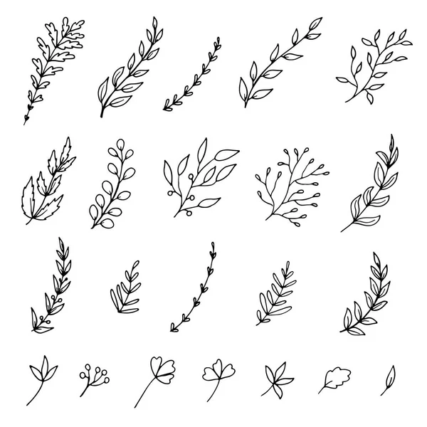 Ручные Листья Ветви — стоковый вектор