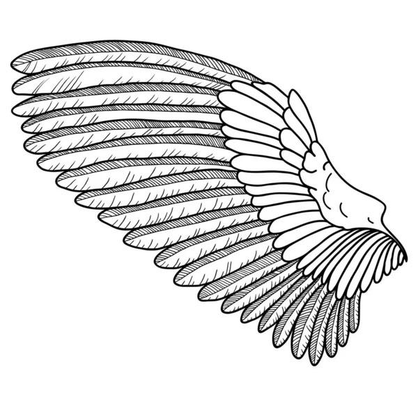 Handritad vinge i retrostil. Skiss hand dragen, linje konst illustration — Stock vektor