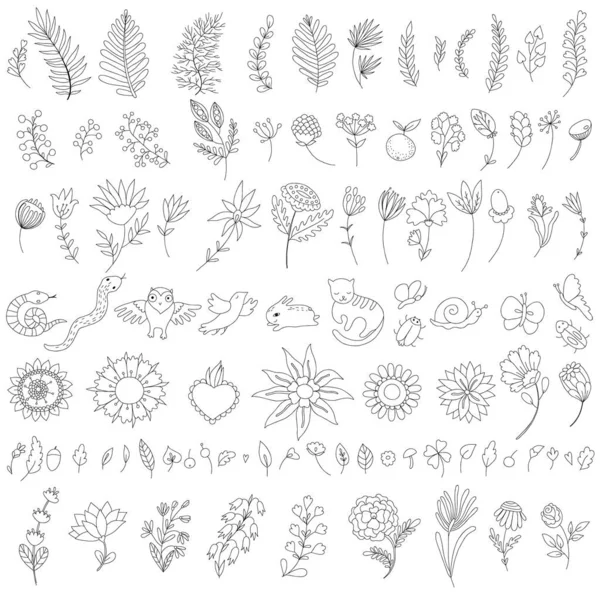 Coleção de flores desenhadas à mão, ramos, folhas e animais. Conjunto de doodles botânicos — Vetor de Stock
