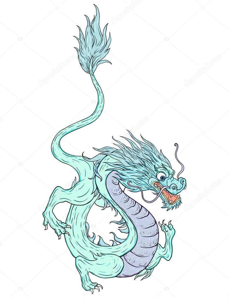 hand drawn dragon isolated on white