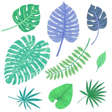 tropikal dekoratif yaprakları, düz tasarım, vektör seti
