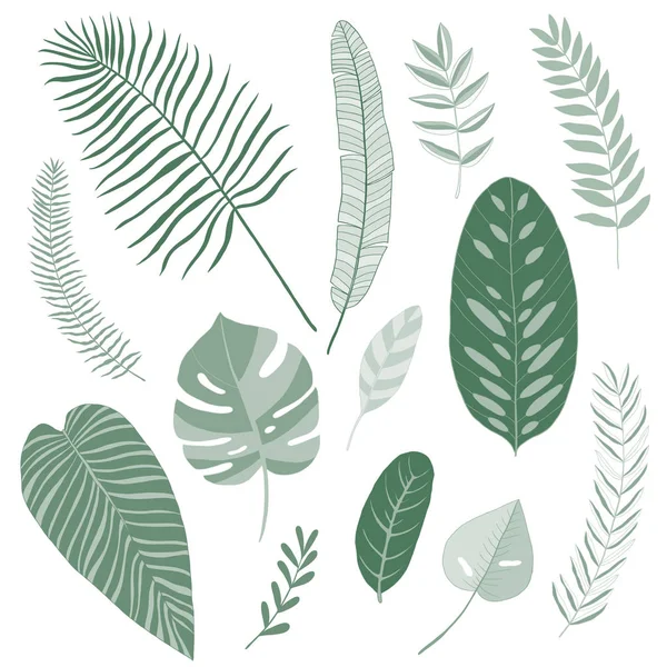 Tropical leaves set, vector flat design — Stock Vector