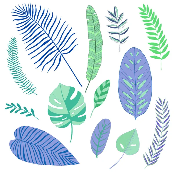 Set aus abstrakten tropischen Blättern, Vektor — Stockvektor