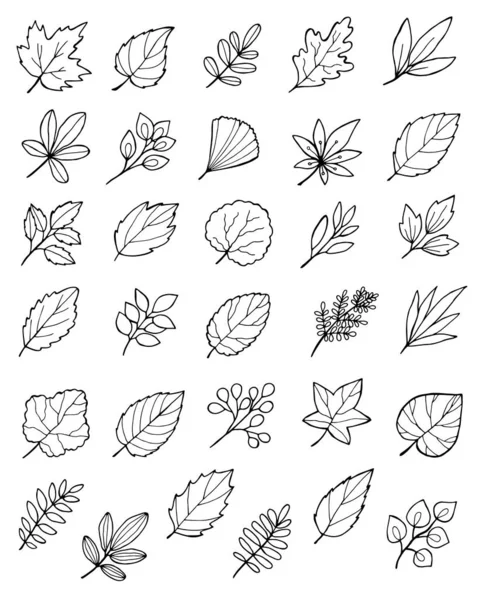 Grande serie di foglie autunnali scarabocchiate disegnate a mano — Vettoriale Stock